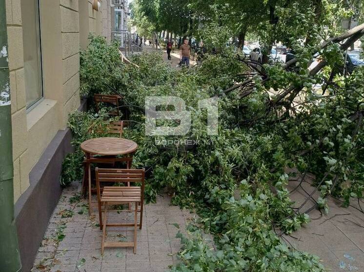 Дерево рухнуло на летнюю веранду кафе в центре Воронежа
