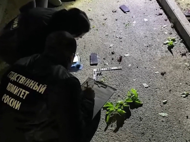 На ряд странностей в убийстве героя СВО, первого замглавы Ставрополя Заура Гурциева, которое произошло в ночь на 29 мая, обратили внимание эксперты