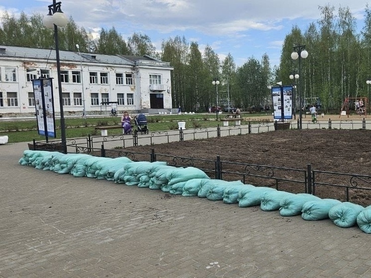 Въезд в Северный округ Архангельска впервые украсят цветочными композициями