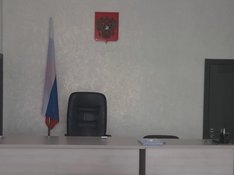 Водителя лишили прав за подложные номера на служебном авто