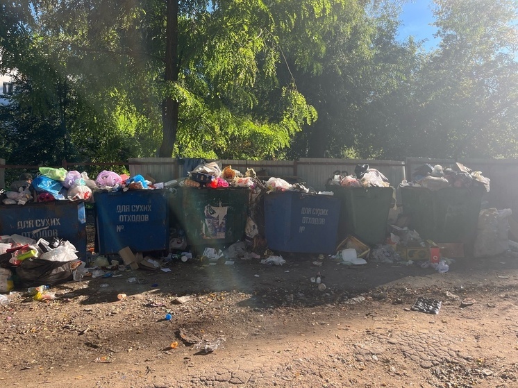 В ЛНР регоператора по обращению с ТКО выберут к июлю