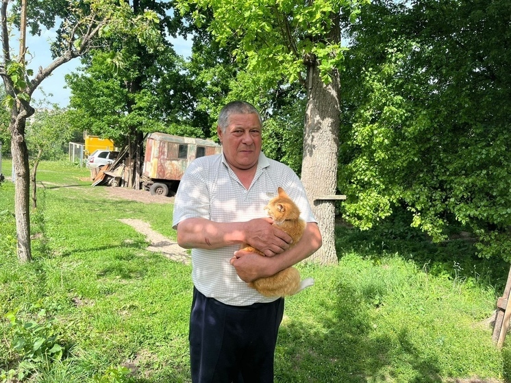 В курском Железногорске спасли кота, просидевшего на дереве 4 дня