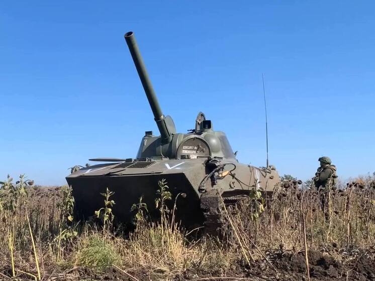 Липовой: Запад оправдывает поставки оружия Киеву заявлениями о начале летнего наступления России