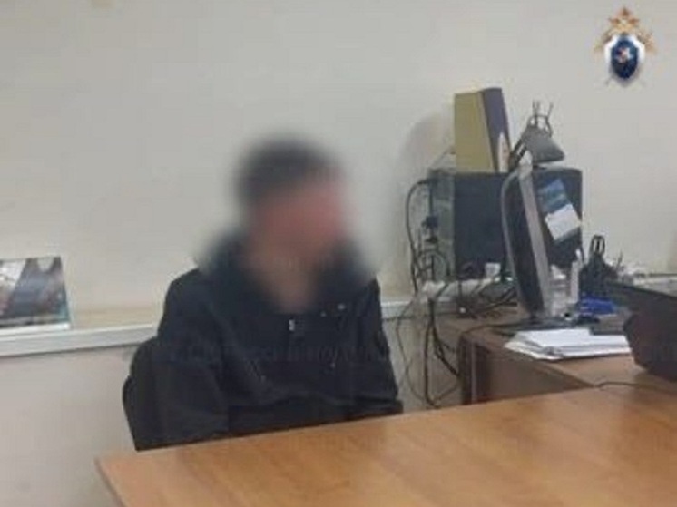 В Туле следователи начали работу с самокатчиком, наехавшим на горожанку