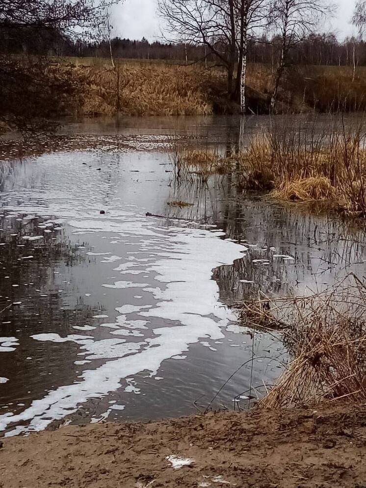 В Ферзиковском районе спасён ещё один водоём