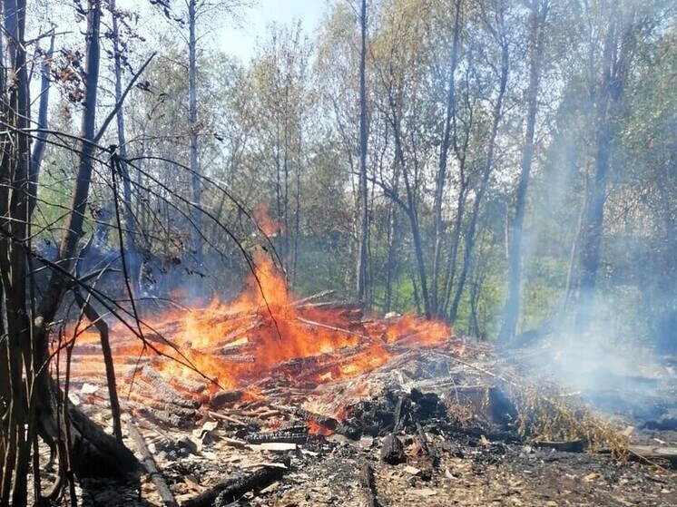 В Верхнетоемском округе огонь уничтожил нежилой дом и хозпостройки