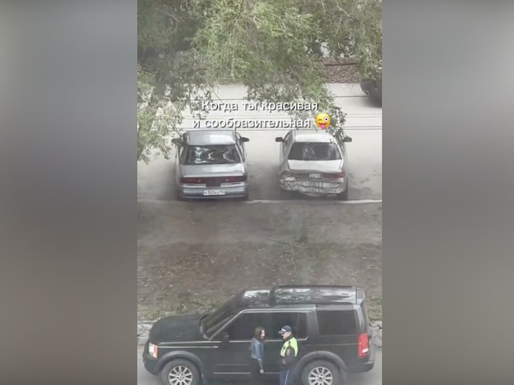 В Новосибирске женщина флиртовала с сотрудником ГАИ на проезжей части