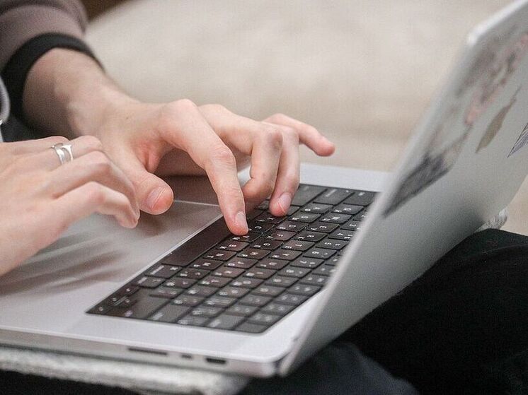 МВД: мошенники создали поддельные сайты ведомства для кражи данных россиян