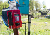 Министерство просит проверять всю поступающую информацию.