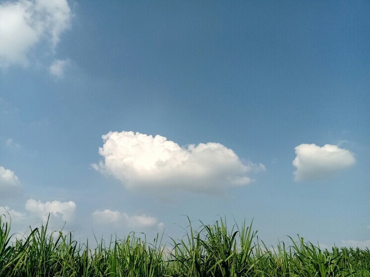 В Москве четверг стал самым теплым днем с начала года