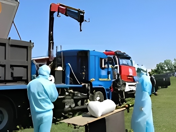 В Чувашии прошли учения по ликвидации очага сапа: ветеринары отработали действия