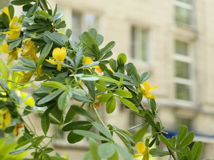 Солнечно и без дождей 30 мая в Приморье