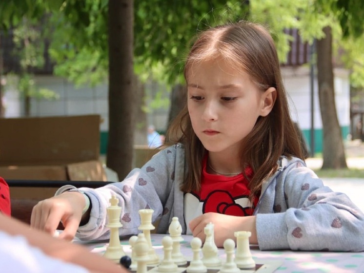 В приморском Артеме прошел шахматный турнир