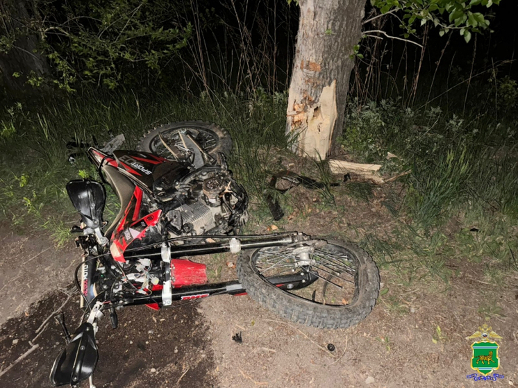 В Биробиджане подросток врезался на мотоцикле в дерево