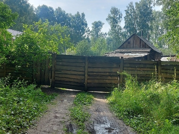 Новосибирских дачников могут оштрафовать на 50 тысяч за нескошенную траву и хлам