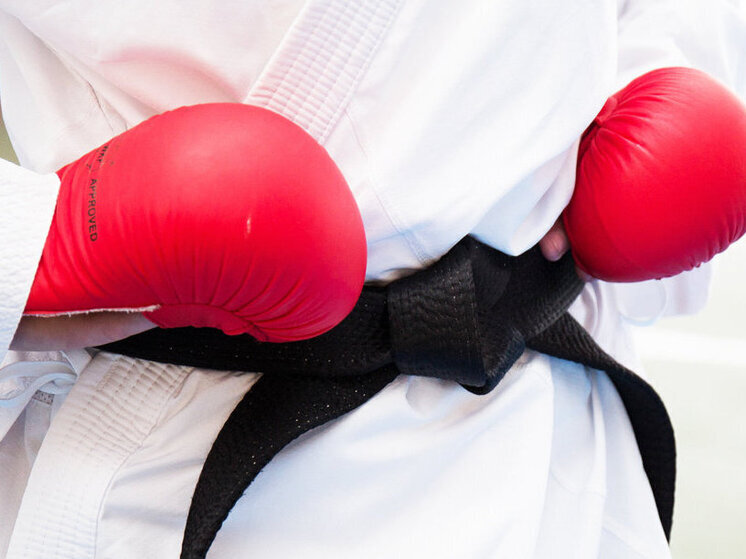 La Federación Mundial de Karate otorgó cinturones negros a Jackie Chan y Ralph Macchio