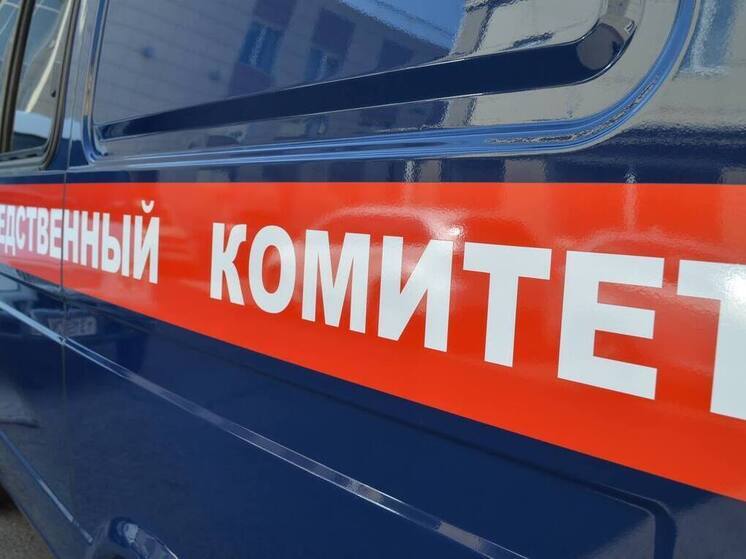 В Красноярске расследуется дело об истязании малолетнего ребенка