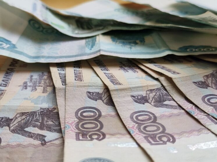 Мастер ремонта техники попытался обмануть и обокрал старушку в Хабаровске