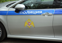 В пресс-службе СУ СКР сообщили, что в Санкт-Петербурге отец расправился с семилетним сыном