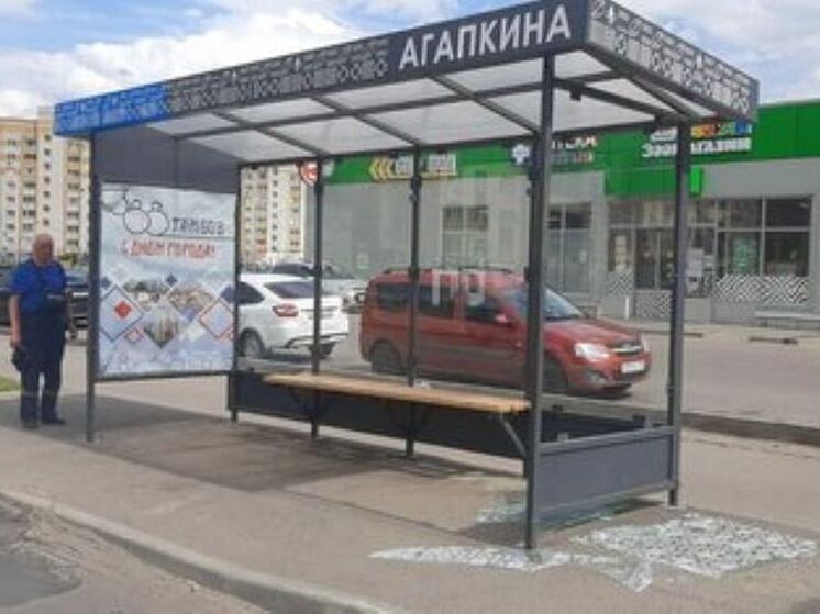 В Тамбове вандалы разбили на остановке стекло с айдентикой города