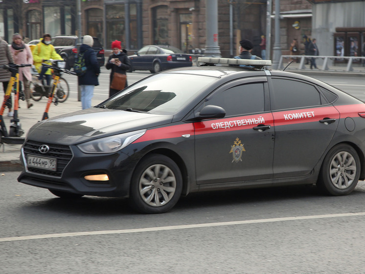 В Перми раскрыли преступное сообщество, незаконно легализовавшее 200 мигрантов