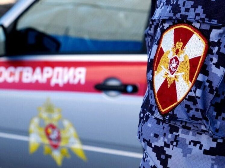 В Якутске задержаны угонщик и домашний насильник