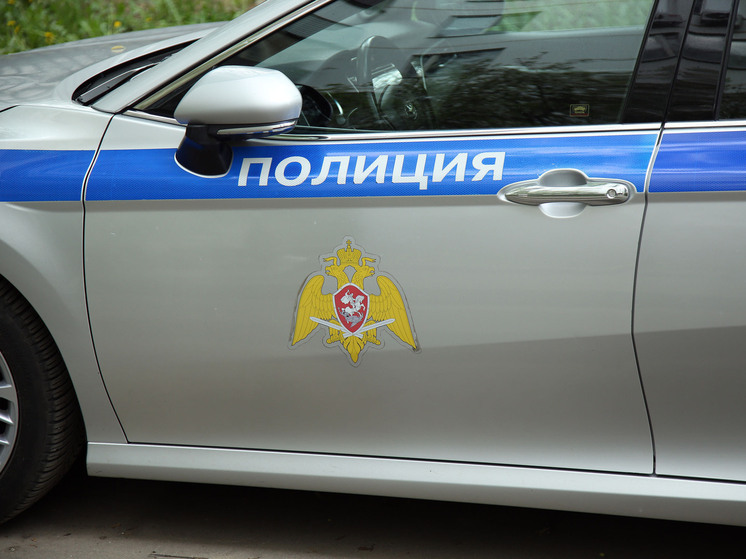 В пресс-службе СУ СКР сообщили, что в Санкт-Петербурге отец расправился с семилетним сыном