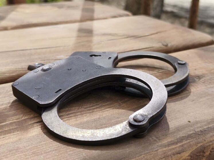 В Хабаровском крае осудили мужчину за убийство амурского тигра