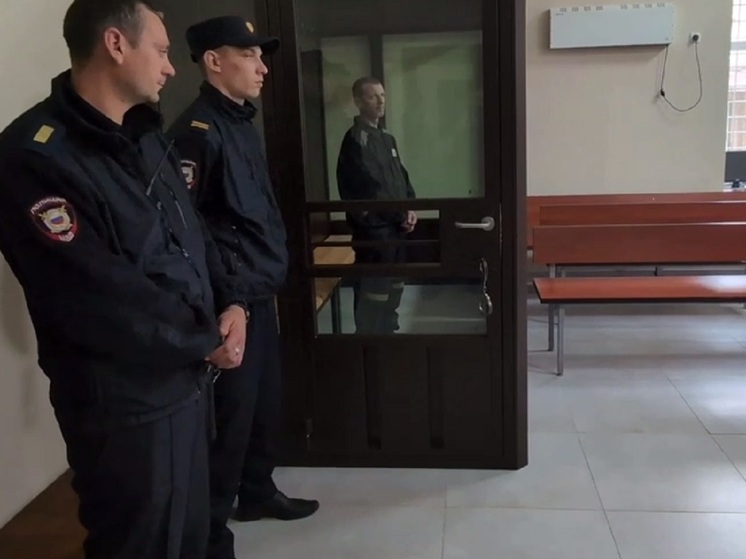 В ЛНР осудили участника экстремистской организации «Правый сектор»*