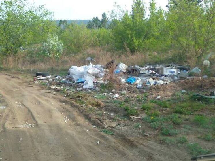 Охота на нарушителей: в лесах Улан-Удэ работают фотоловушки