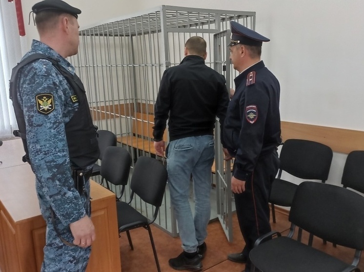 В Орле нерадивого отца арестовали на 10 суток за долги по алиментам