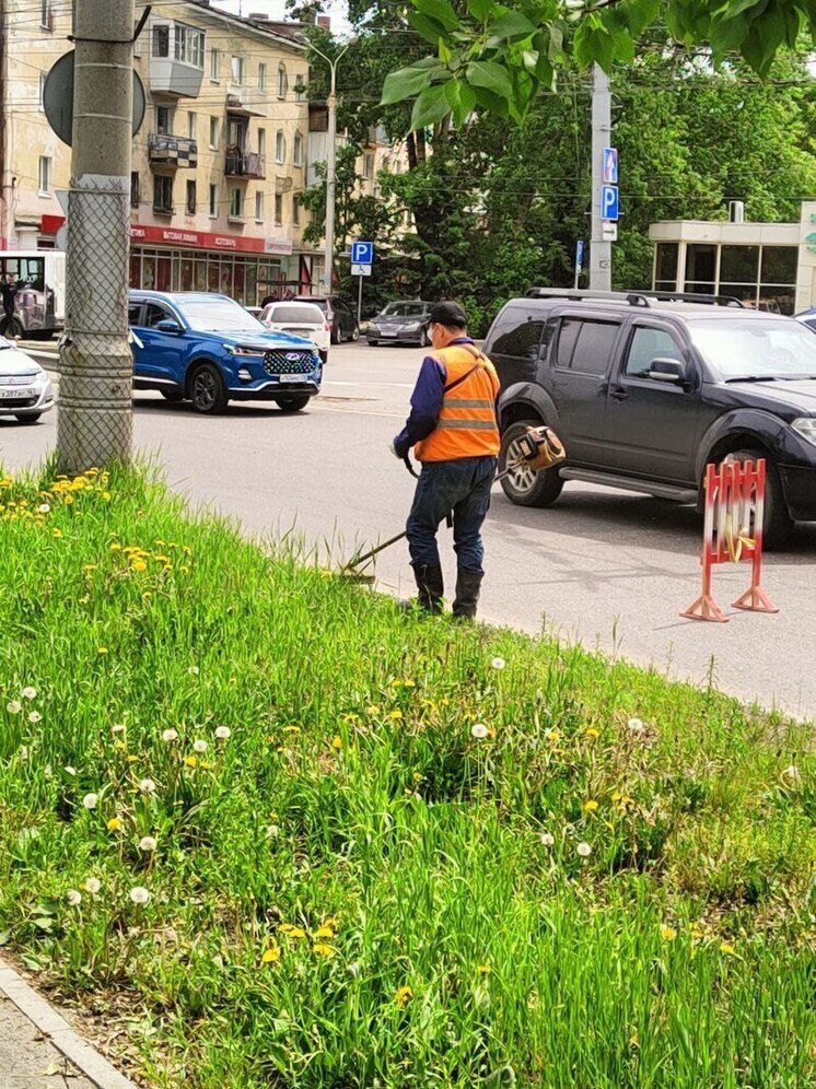 В Иркутске начался летний покос травы