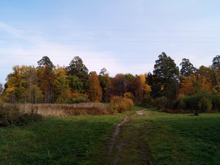 "Нас ждут 4 месяца лета": Роман Вильфанд предупреждает об аномальной жаре и обильных осадках в ряде регионов