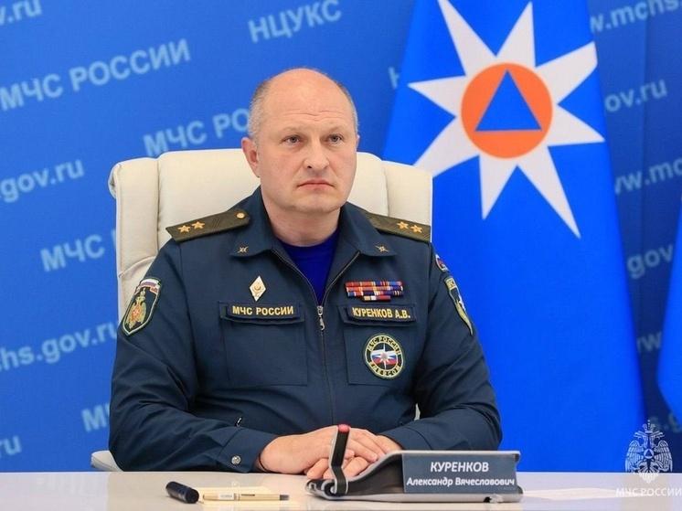 Глава МЧС России назвал сроки завершения разминирования в Курской области