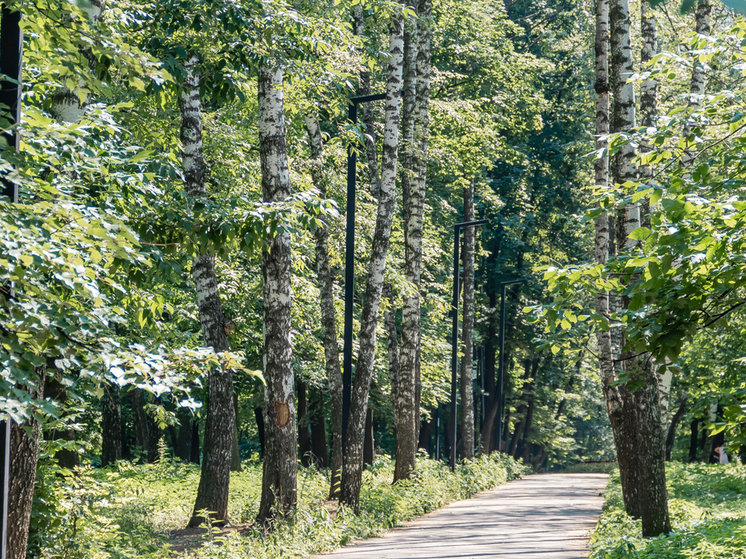 Роспотребнадзор: В Рязанской области за неделю клещи покусали 23 ребёнка