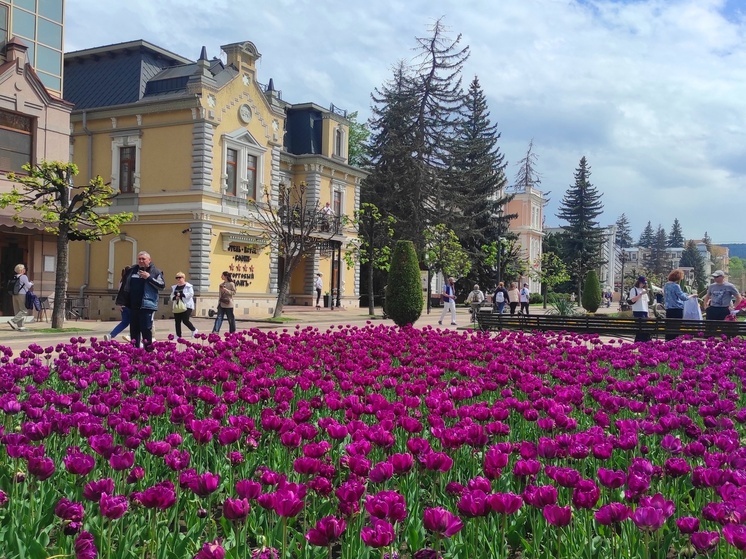 В Кисловодске в 2025 году реализуется 42 инвестпроекта