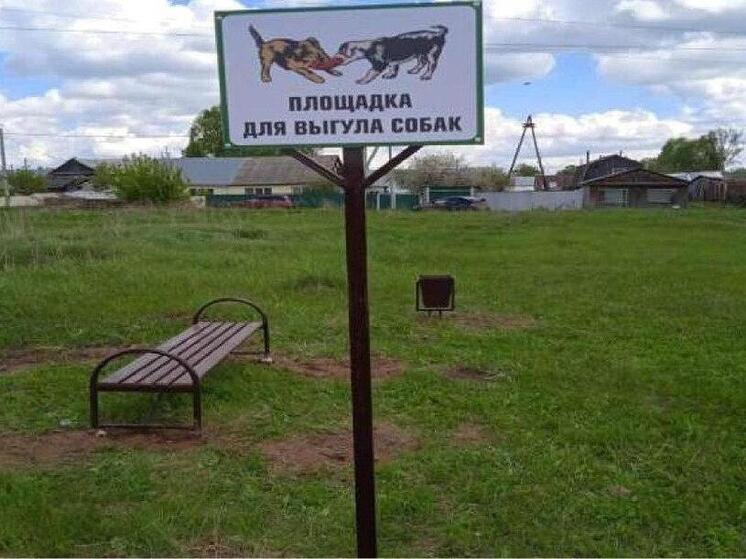 Забота о питомцах: в городе Сосновке открылась новая площадка для выгула собак