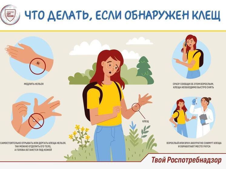  В Иркутской области снизилось число пострадавших от укусов клещей