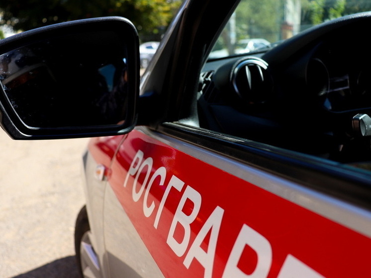 В Марий Эл сотрудники Росгвардии по горячим следам задержали гражданина, расплатившегося в магазине чужой банковской картой