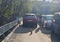 Инцидент произошел вчера, 29 мая, в 18:53 в Мурманске, во дворе дома № 33/2 по улице Академика Книповича