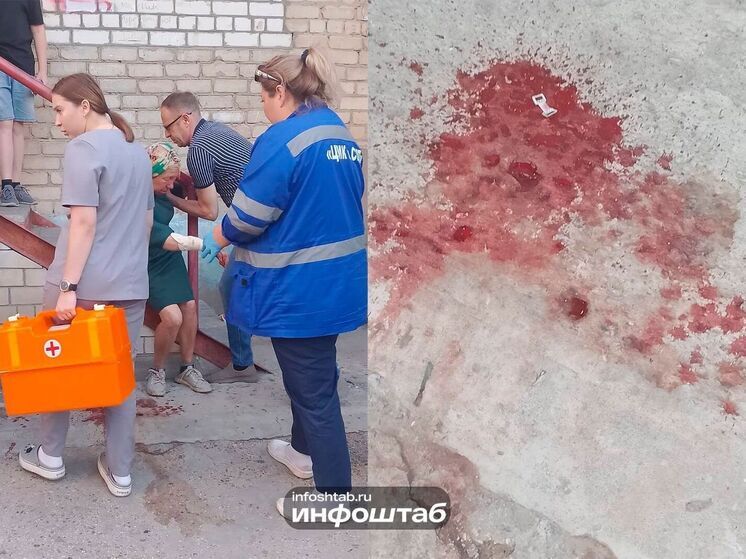 Бастрыкин потребовал возбудить дело по факту нападения бродячей собаки на пожилую женщину в Астрахани
