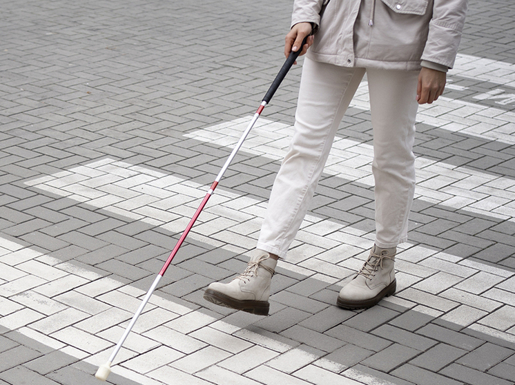 Кому нужна дестабилизация деятельности Всероссийского общества слепых?