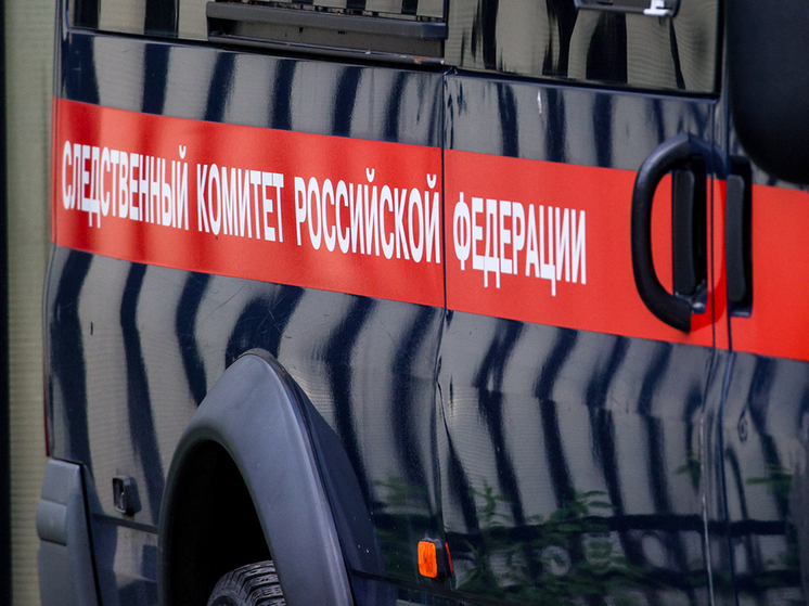 Следователи устанавливают причины смерти солистки ансамбля МВД
