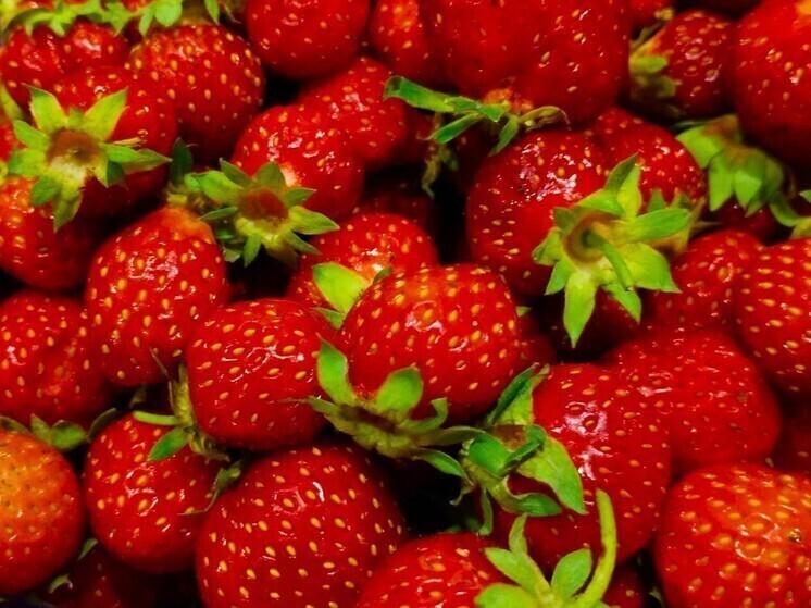 Белгородцев предупредили о фейке про подготовку ограничения на вывоз продуктов питания
