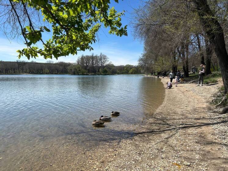 Городское озеро Ессентуков получило санитарное заключение для старта купального сезона