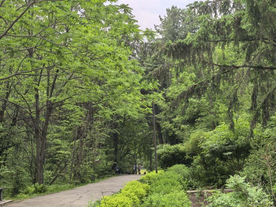 Благоустройству быть: фото разбитых дорог и начала ремонта в хабаровском дендрарии 