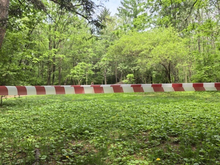 Отремонтированные дорожки и новые удобства: что ждет посетителей хабаровского дендрария