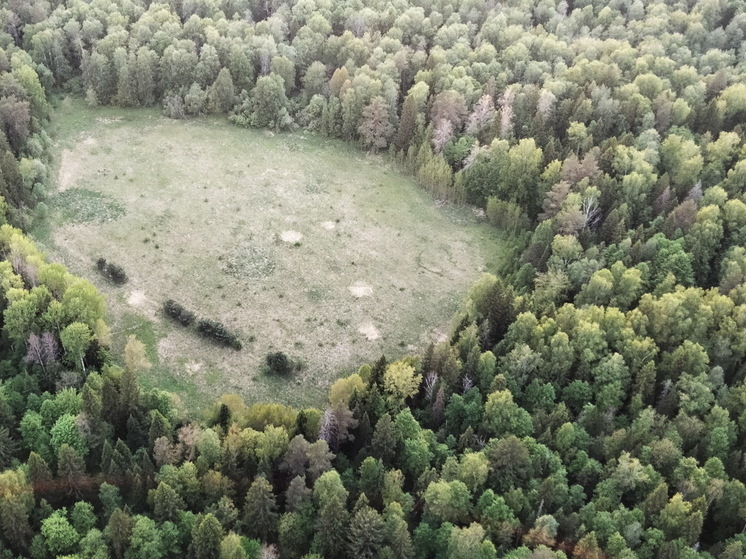 Вновь запрещен въезд в леса Марий Эл
