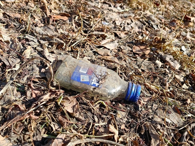В Зауралье женщину будут судить за вовлечение сына в пьянство