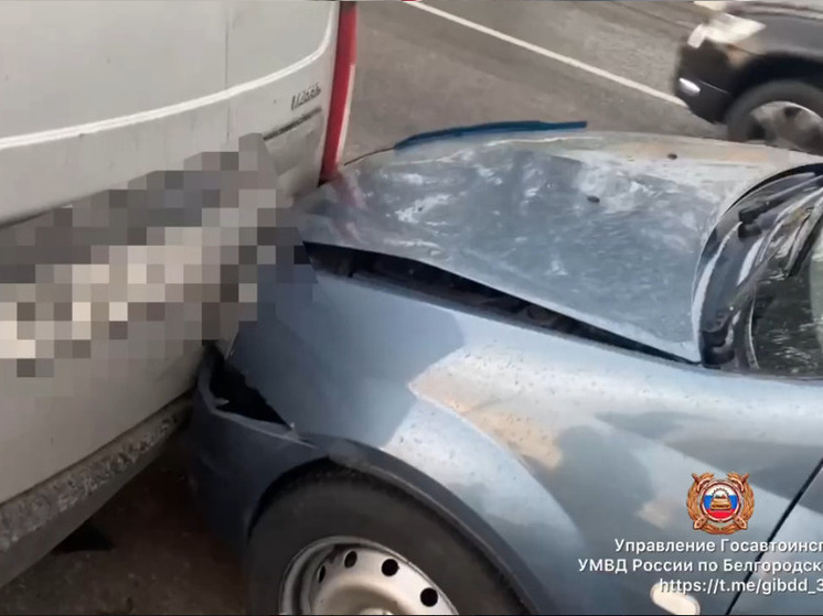 В Белгородском районе в массовом ДТП пострадали два человека